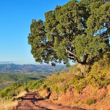 Piso Sierra Calderona A 15 Minutos Del Mar Estivella Daire Dış mekan fotoğraf