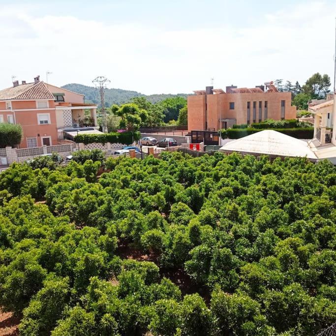 Piso Sierra Calderona A 15 Minutos Del Mar Estivella Daire Dış mekan fotoğraf